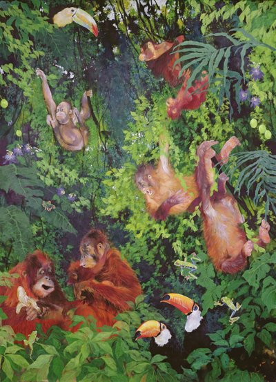 Orangotangos e tucanos de Odile Kidd