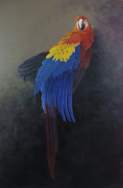 Arara-vermelha 3, 2014 (acrílico sobre linho) de Odile Kidd
