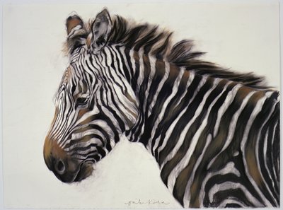 Zebra, 2002 (carvão e giz) de Odile Kidd