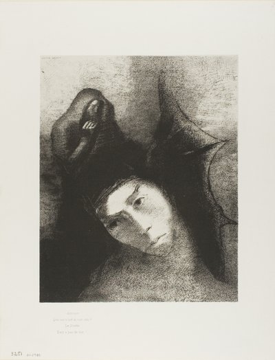 Anthony: "Qual é o objetivo de tudo isso?" O Diabo: "Não há objeto!", placa 18 de 24 de Odilon Redon