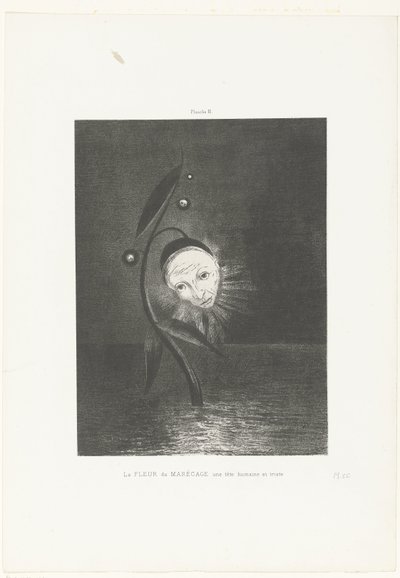 A flor do pântano, uma cabeça humana e triste
La FLEUR du MARÉCAGE une tête humaine et triste (título sobre o objecto) de Odilon Redon