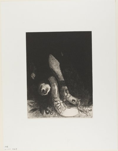 Flores caem e a cabeça de uma píton aparece, placa 5 de 24 de Odilon Redon