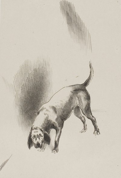Ele [o cão do narrador] mantinha os olhos fixos em mim com um olhar tão estranho, placa 3 de 6 de Odilon Redon