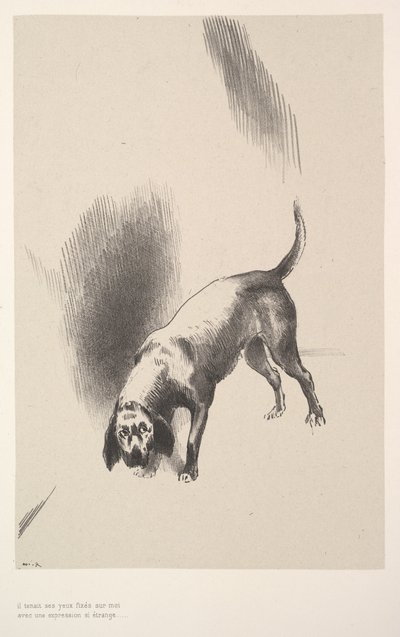 Ele fixou os olhos em mim com uma expressão tão estranha, 1896. de Odilon Redon