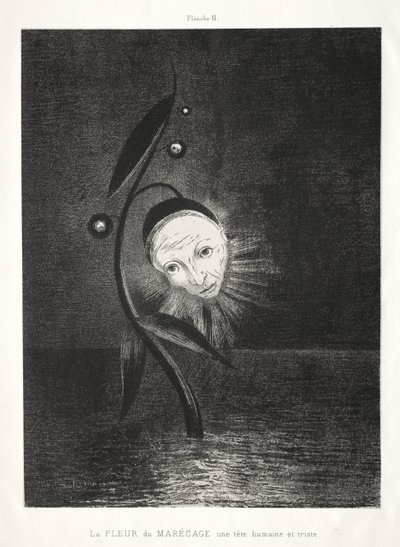 Homenagem a Goya: A Flor do Pântano, uma Cabeça Humana Triste, 1885. de Odilon Redon