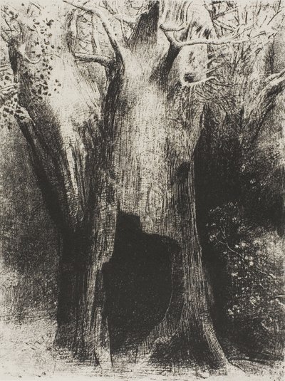 Mergulhei na Solidão. Eu morava na árvore atrás de mim, placa 9 de 24 de Odilon Redon