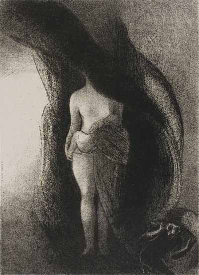 Eu ainda sou a Grande Ísis! Ninguém nunca levantou meu véu!, placa 16 de 24 de Odilon Redon