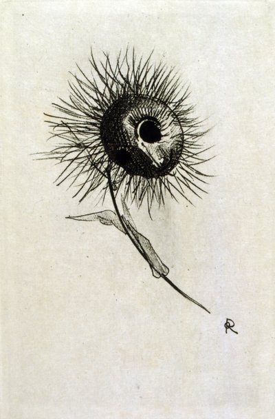 Ilustração para 