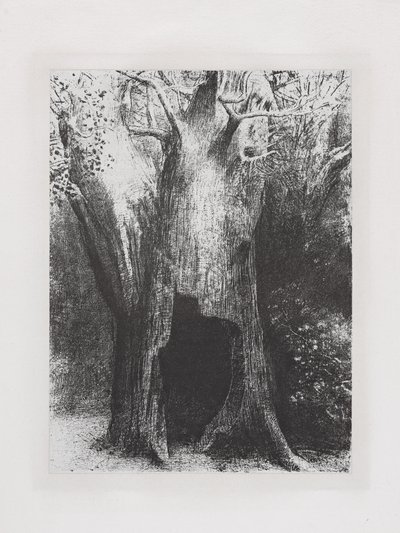 Afundei-me na solidão de Odilon Redon