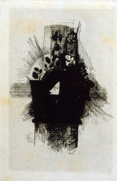As Flores do Mal de Odilon Redon