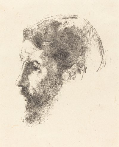 Pierre Bonnard de Odilon Redon