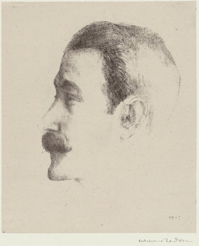 Ricardo Vinhas de Odilon Redon