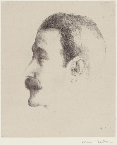Ricardo Vinhas de Odilon Redon