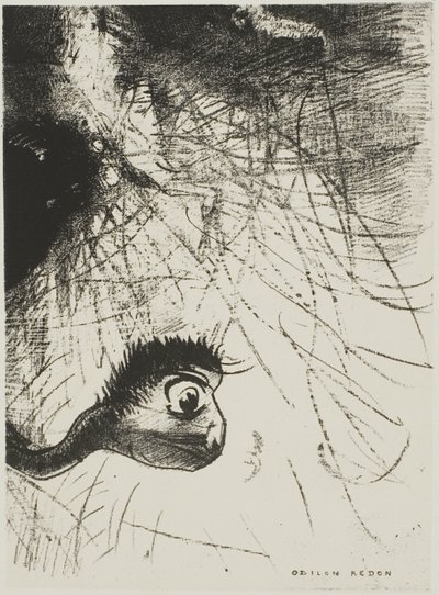 Santo Antônio: "Em algum lugar deve haver formas primordiais cujos corpos são apenas imagens, placa 4 de 6 de Odilon Redon