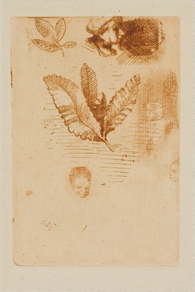 Esboços de Odilon Redon
