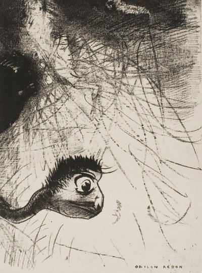 Santo Antônio: "Em algum lugar deve haver formas primordiais cujos corpos são apenas imagens", placa 4 de 6 de Odilon Redon