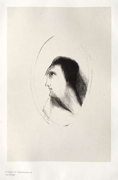 A largura e a planicidade do osso frontal de Odilon Redon