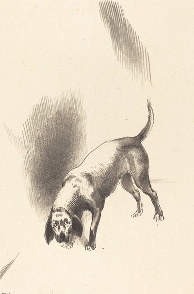 O cachorro de Odilon Redon
