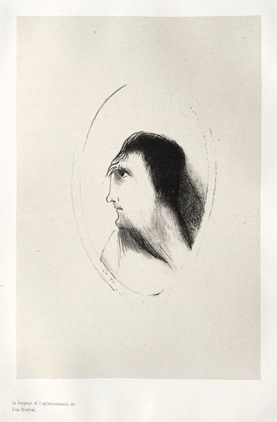 A casa assombrada: a largura e a planicidade do osso frontal, 1896. de Odilon Redon