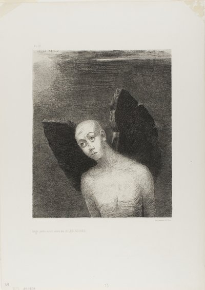 O Anjo Perdido Então Abriu Asas Negras, from Noite de Odilon Redon