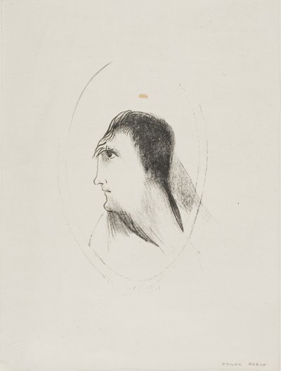 A Largura e Planicidade do [Osso] Frontal], placa 6 de 6 de Odilon Redon