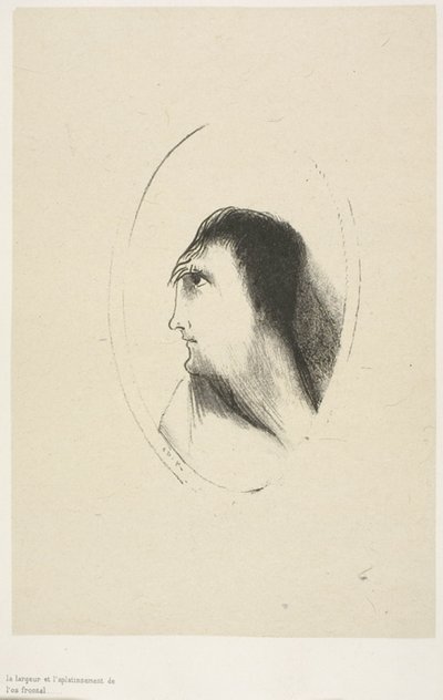 A Largura e Planicidade do [Osso] Frontal], placa 6 de 6 de Odilon Redon