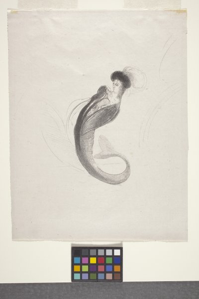 Sem título (litografia em papel volante chinês) de Odilon Redon