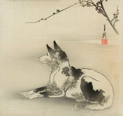 cão preto e branco de Ogata Gekko