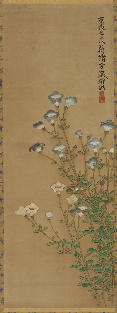 Flores azuis e brancas em caules finos, período Edo, séc. de Ogata Kenzan