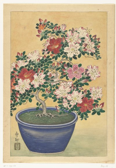 Azálea florida em vaso azul de Ohara Koson (signed by artist)