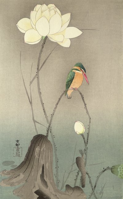 Um Martim-pescador e um lótus, c.1910, de Ohara Koson