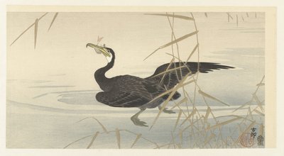 Cormorante com peixe de Ohara Koson