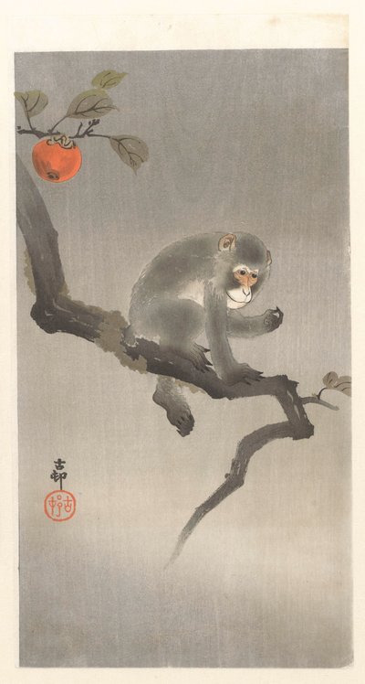 Bico em kakiboom de Ohara Koson