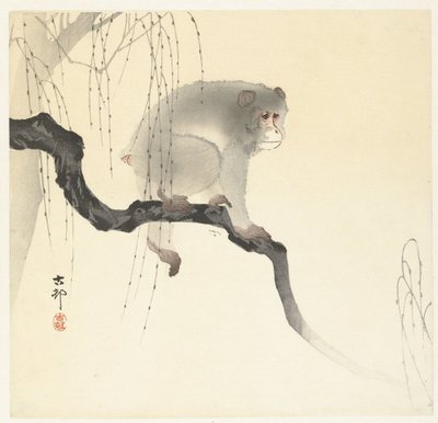 Macaco sobre ramo de árvore de Ohara Koson