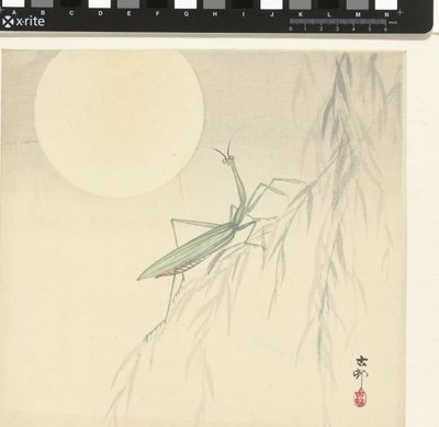 Louva-Deus de Ohara Koson