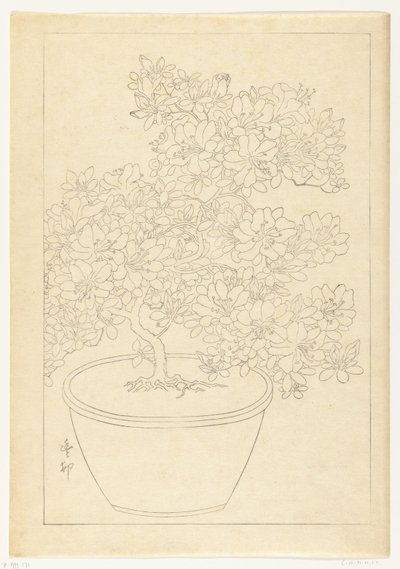 Flor de azaléia em vaso de Ohara Koson
