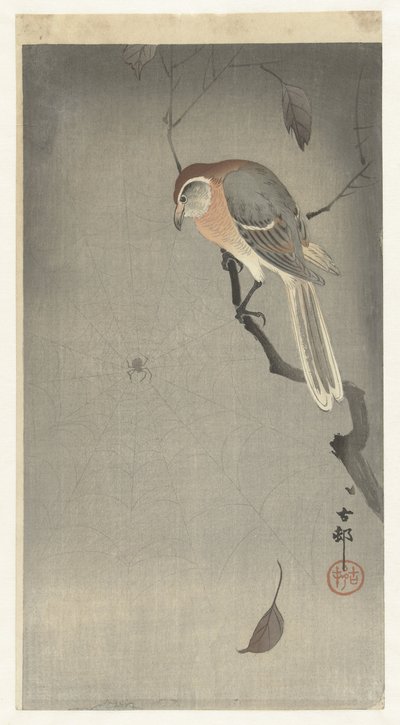 Grito de búfalo e aranha de Ohara Koson