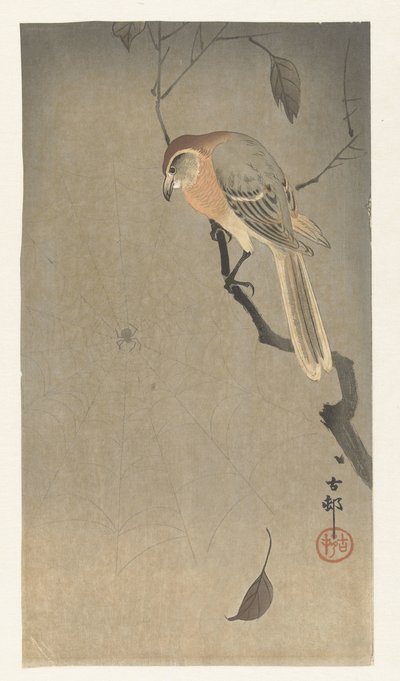 Picanço e aranha de cabeça de búfalo de Ohara Koson