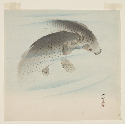 Carpa (Koi) (impressão em bloco de madeira a cores) de Ohara Koson