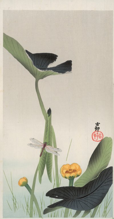Libélula e Lotus (impressão em bloco de madeira a cores) de Ohara Koson