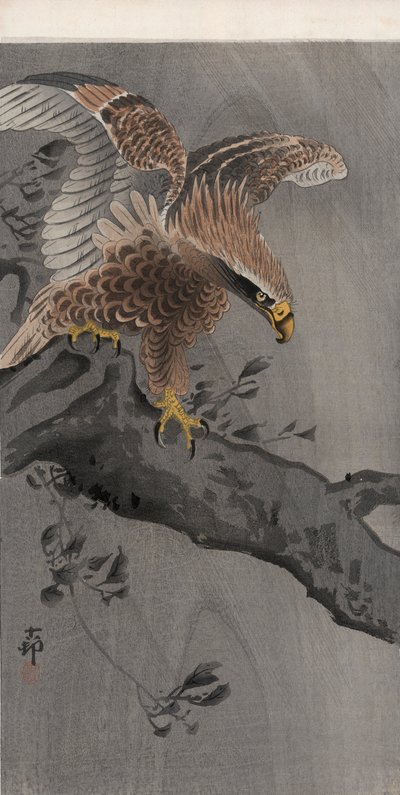 Águia com Asas Espalhadas no Tronco da Árvore (impressão em bloco de madeira colorida) de Ohara Koson