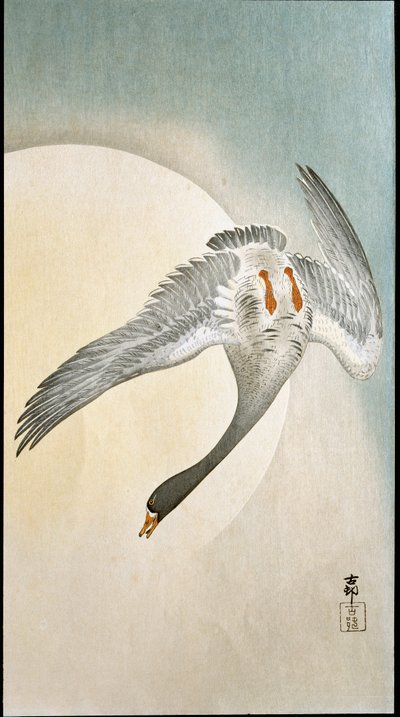 Voo de pato ao luar Xilografia e impressão japonesa por Ohara Koson (1877-1945) 1908 Coleção privada DR de Ohara Koson
