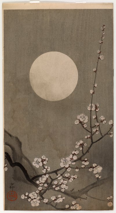 Ameixa de flor e lua (impressão de woodblock de cor) de Ohara Koson