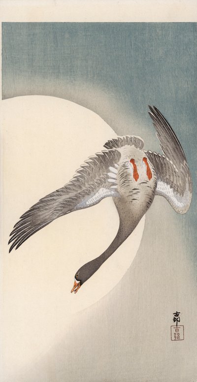 Ganso voador de testa branca visto de baixo em frente à lua (impressão a cores de bloco de madeira) de Ohara Koson