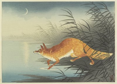 Fox pela água enluarada, década de 1930 (impressão em xilogravura a cores) de Ohara Koson