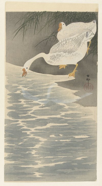 Gansos no banco de Ohara Koson