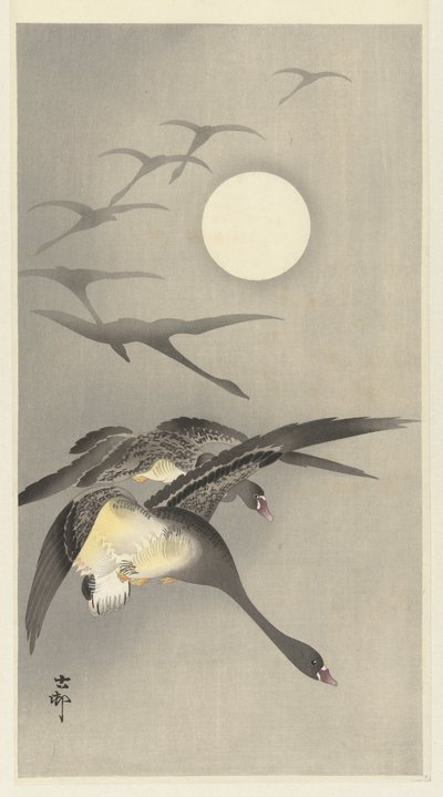 Gansos na lua cheia de Ohara Koson