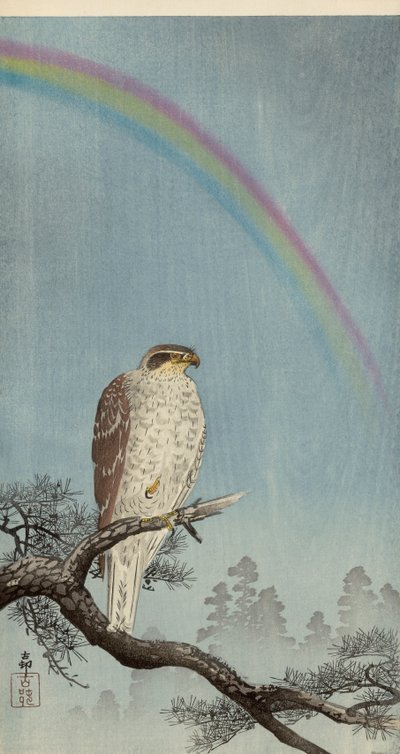 Goshawk num pinheiro com um arco-íris em cima (impressão em bloco de madeira a cores) de Ohara Koson