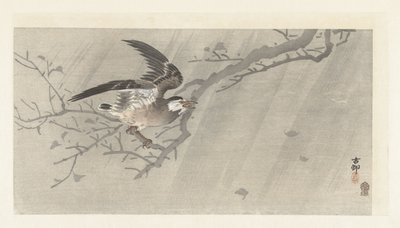 Estorninho cinzento na tempestade de Ohara Koson