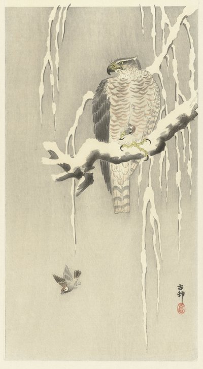 Falcão com pardal de capim em cativeiro. de Ohara Koson